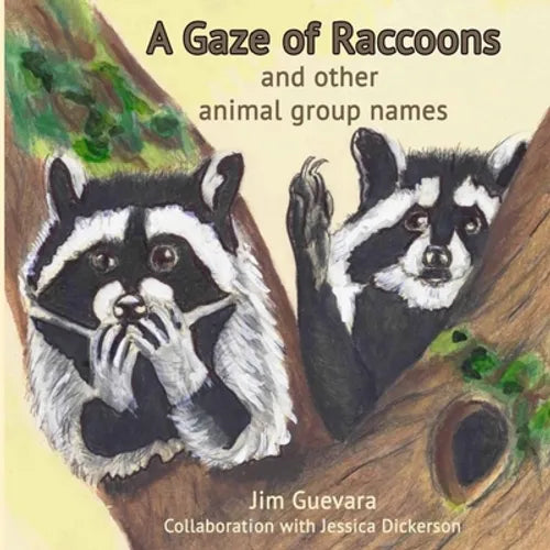A Gaze of Raccoons: and other animal group names - Paperback
