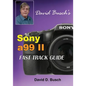 DAVID BUSCH'S Sony Alpha a99 II FAST TRACK GUIDE - Paperback