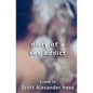 Diary of a Sex Addict - Paperback