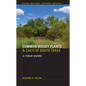 Common Woody Plants and Cacti of South Texas: A Field Guide - Paperback