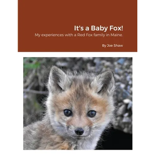 It's a Baby Fox! - Paperback