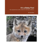 It's a Baby Fox! - Paperback