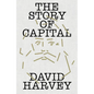 The Story of Capital: What Everyone Should Know about How Capital Works - Hardcover