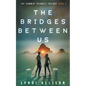 The Bridges Between Us - Paperback