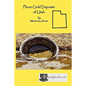 Placer Gold Deposits of Utah - Paperback