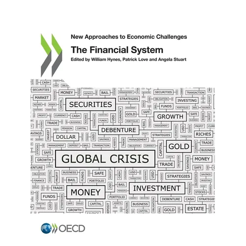 The Financial System - Paperback