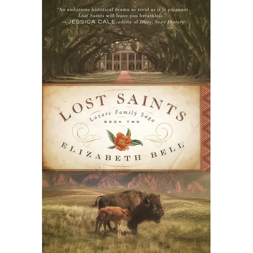 Lost Saints - Paperback