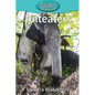 Anteaters - Paperback