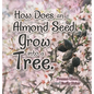 How Does an Almond Seed Grow into a Tree? - Hardcover