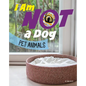 I Am Not a Dog: Pet Animals - Hardcover