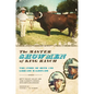 The Master Showmen of King Ranch: The Story of Beto and Librado Maldonado - Paperback