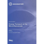 Energy Transport at the Micro/Nanoscale - Hardcover