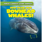200-Year-Old Bowhead Whales! - Library Binding