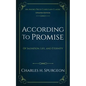 According to Promise: Of Salvation, Life, and Eternity - Paperback
