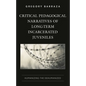 Critical Pedagogical Narratives of Long-Term Incarcerated Juveniles: Humanizing the Dehumanized - Paperback