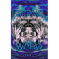 Internal wars - Paperback