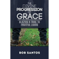 The Divine Progression of Grace: Blazing a Trail to Fruitful Living - Paperback