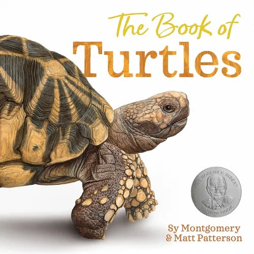 The Book of Turtles - Hardcover