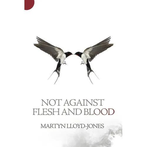 Not Against Flesh and Blood: The Battle Against Spiritual Wickedness in High Places - Paperback