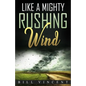 Like a Mighty Rushing Wind - Paperback