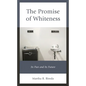 The Promise of Whiteness: Its Past and Its Future - Paperback