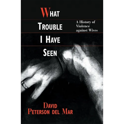 What Trouble I Have Seen: A History of Violence Against Wives - Paperback
