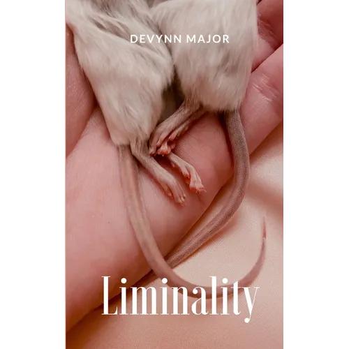 Liminality - Paperback