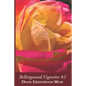Bellingwood Vignettes #2 - Paperback