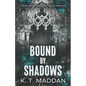Bound By Shadows: Delta Sigma Nu Book One - Paperback