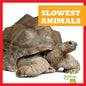 Slowest Animals - Paperback