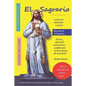 El SAGRARIO: Parece mentira con cuánta Ilusión espera Jesús tu visita. - Paperback