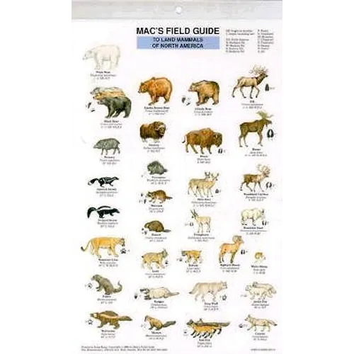 Mac's Field Guides: North American Land Mammals - Paperback