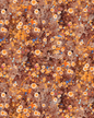Cali Flowers Wallpaper, golden hour