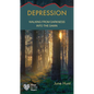 Depression: Walking from Darkness Into the Dawn - Paperback