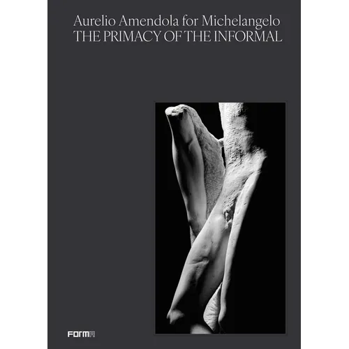 Aurelio Amendola for Michelangelo: The Primacy of the Informal - Paperback