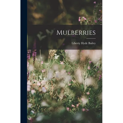 Mulberries - Paperback
