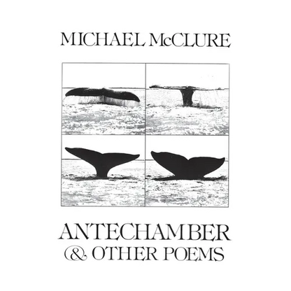 Antechamber: And Other Poems - Paperback