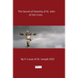 The Secret of Sanctity of St. John of the Cross - Paperback