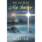 My Storm, My Savior: Lessons Learned - Paperback