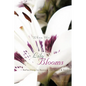When the Lily Blooms: Reflections to Restore the Heart and Soul - Paperback