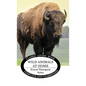 Wild Animals at Home - Hardcover