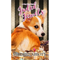 Jaded Jewels - Paperback