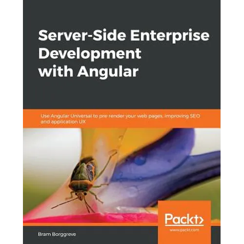 Server-Side Enterprise Development with Angular - Paperback