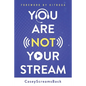 You Are Not Your Stream: A Twitch Broadcaster's Guide to Success Online and Behind the Scenes - Paperback