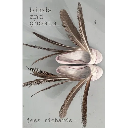 Birds and Ghosts - Paperback