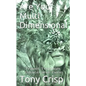 Are You Multidimensional: Travel Through Space and Time - Paperback