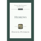 Hebrews: An Introduction and Commentary - Paperback