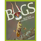 Bugs Big & Small: God Made Them All - Hardcover
