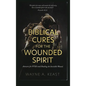 Biblical Cures for the Wounded Spirit: Answers for PTSD and Healing the Invisible Wound - Hardcover