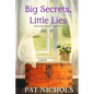 Big Secret, Little Lies - Paperback